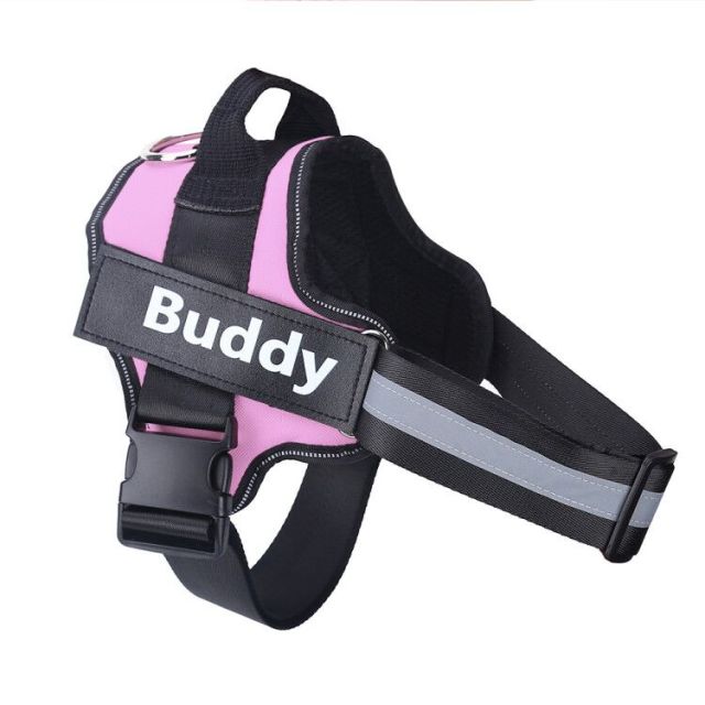 Harmless Harness