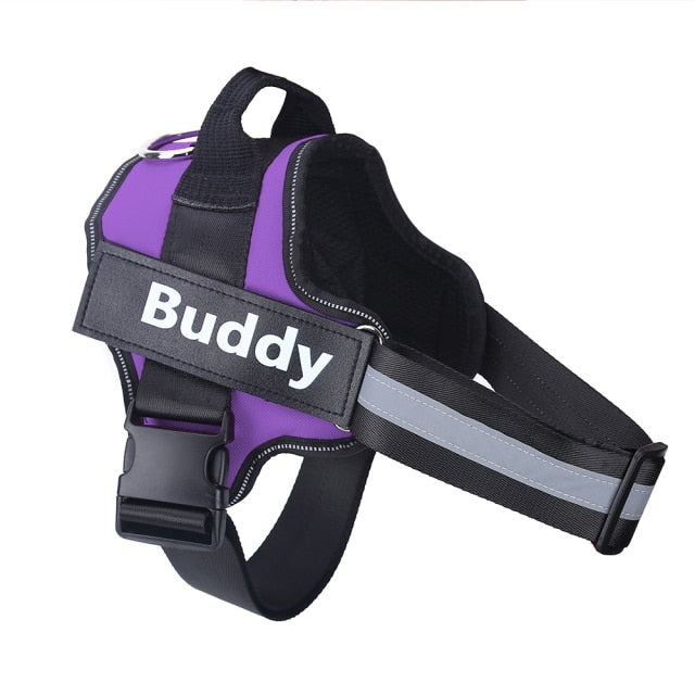 Harmless Harness