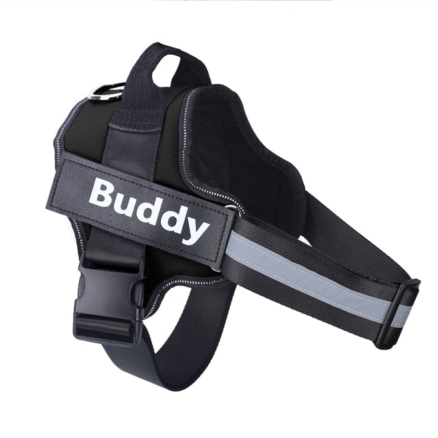 Harmless Harness