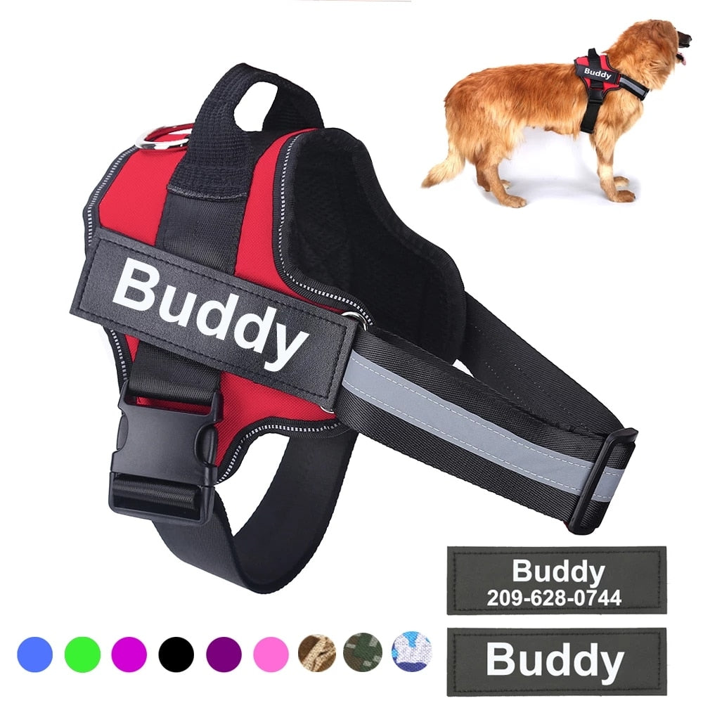 Harmless Harness